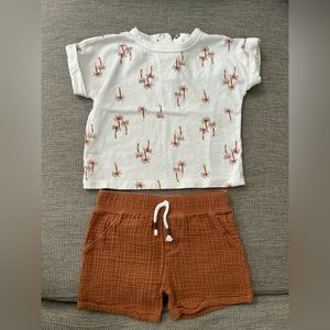 Modern moments by Gerber palm tree shirt and shorts set